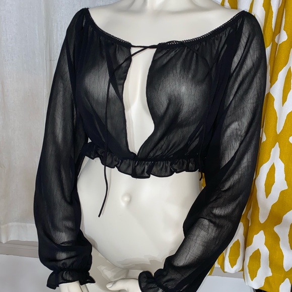 Sheer Long Sleeve Crop Top - Picture 1 of 2